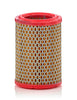 Mann Filter C 1134/1